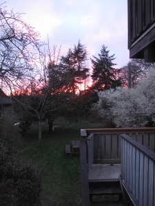 Spring sunset